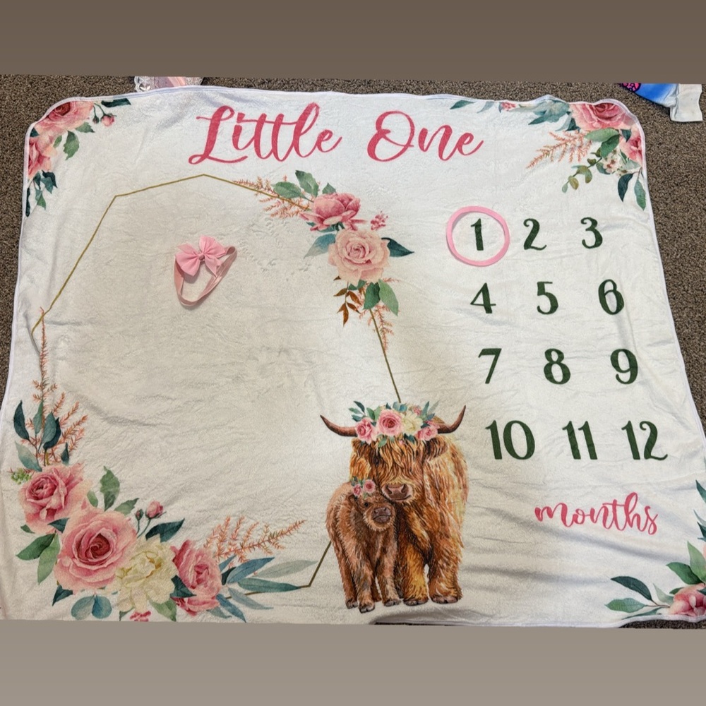 Little One Monthly Milestone Blanket. NWOT